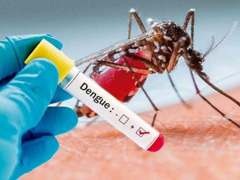 MOSQUITO "DENGUE, ZICA Y CHIKUNGUNYA"