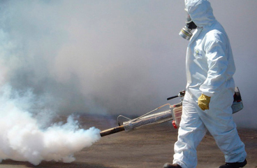 MOSQUITOS VECTOR DE DENGUE, FIEBRE AMARILLA