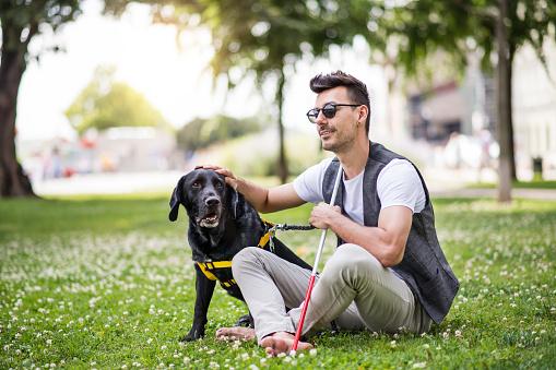 DÍA INTERNACIONAL DEL PERRO GUÍA