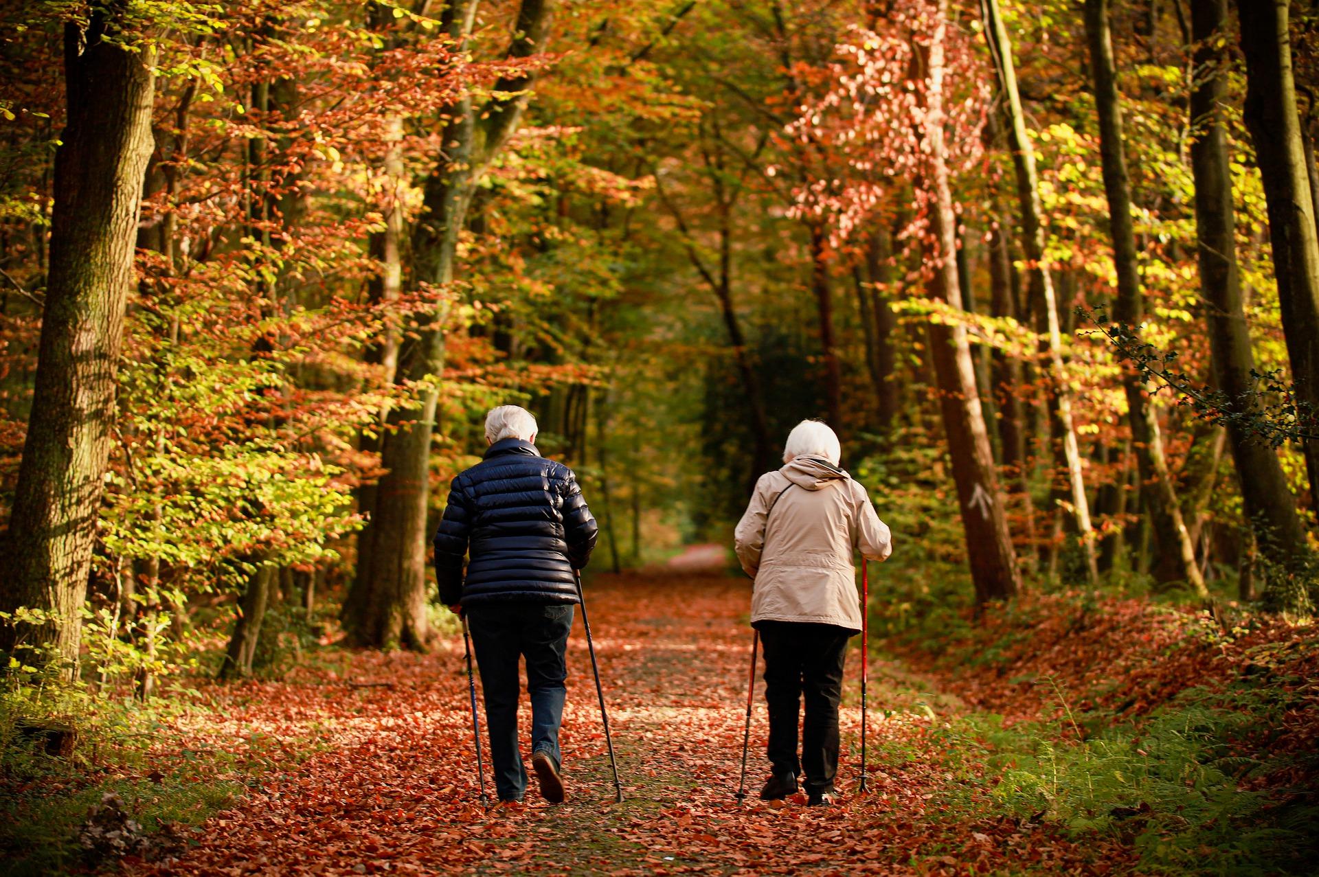 CAMINAR: LOS BENEFICIOS QUE GENERA EN NUESTRO CEREBRO