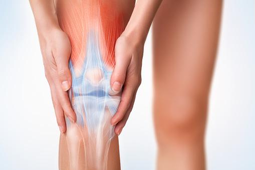RODILLA