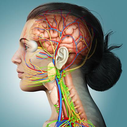 DÍA MUNDIAL DE LA NEURALGIA TRIGEMINAL