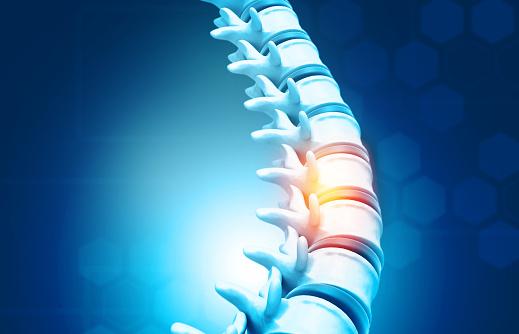 COLUMNA VERTEBRAL