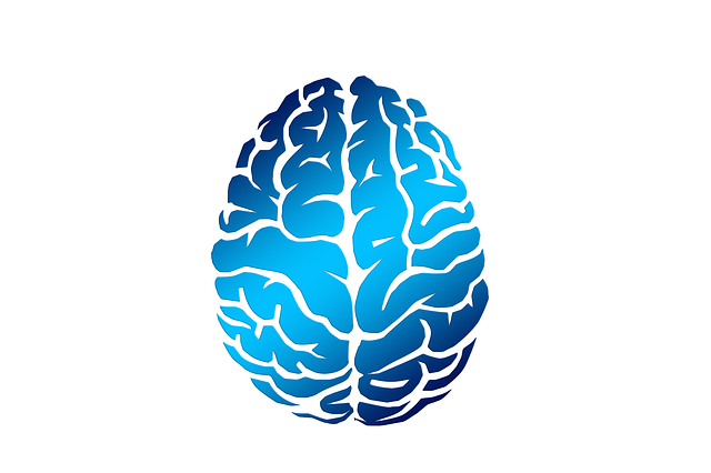 CEREBRO