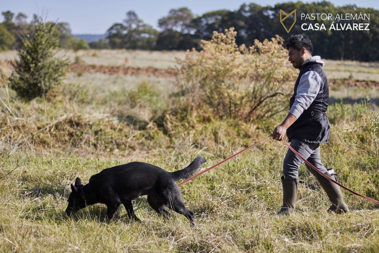 tracking