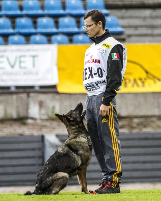 Aykmar kennel