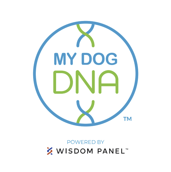 MY DOG DNA