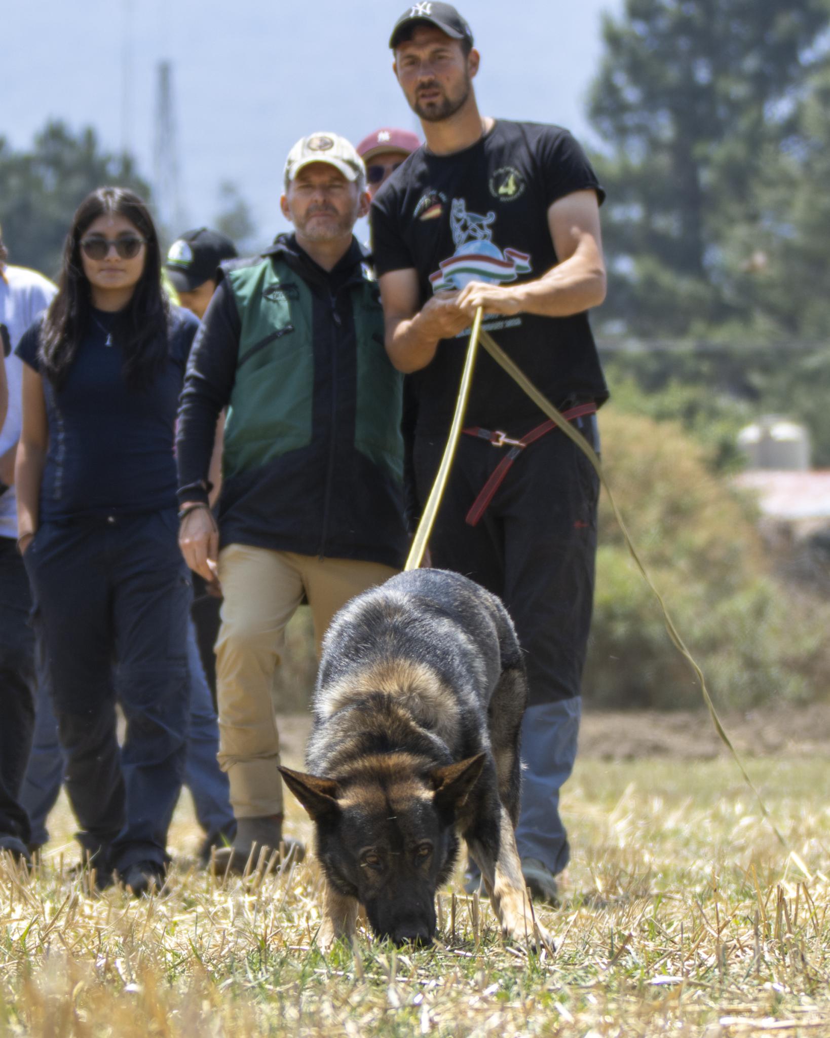 Marcos Ferré