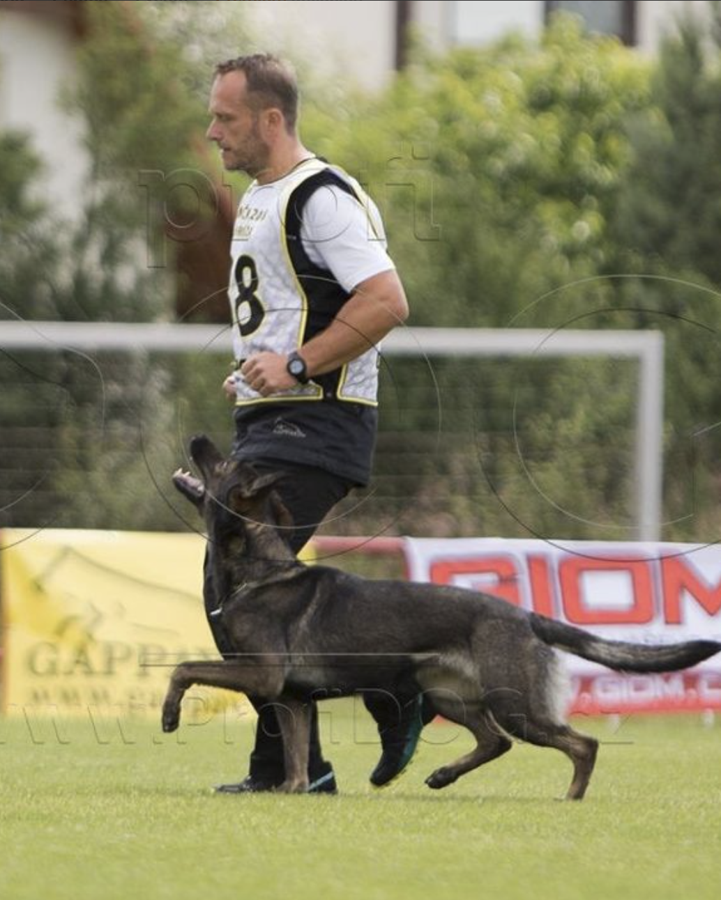 Martin Pejša