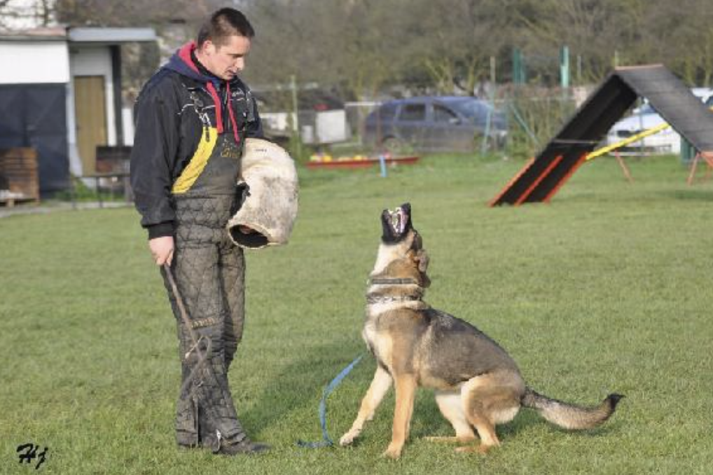 Aykmar kennel