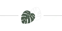 Separador para página web de Gardening Time Martínez