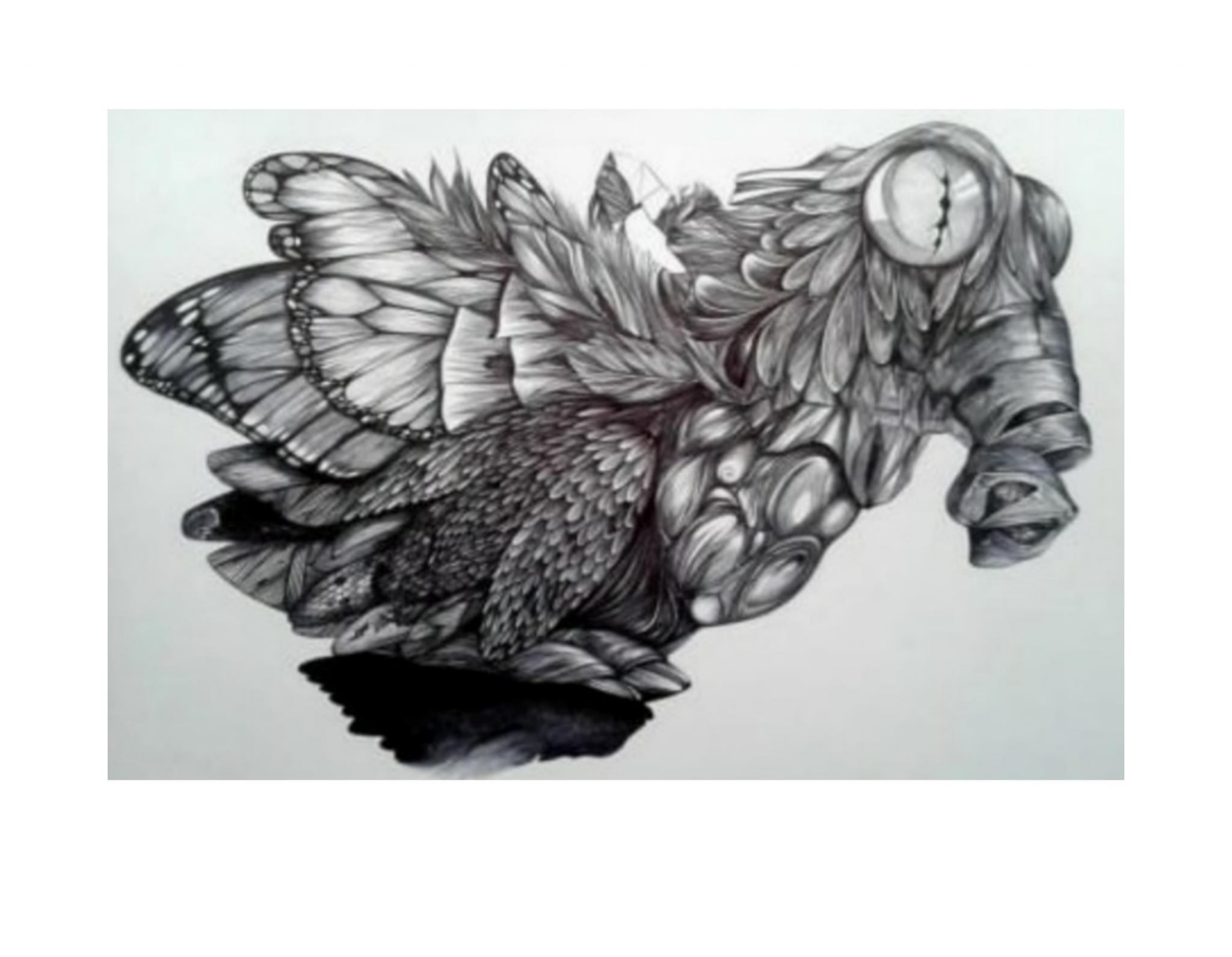 Dibujo en birome sobre papel. Medidas : 29,5x42  cm.