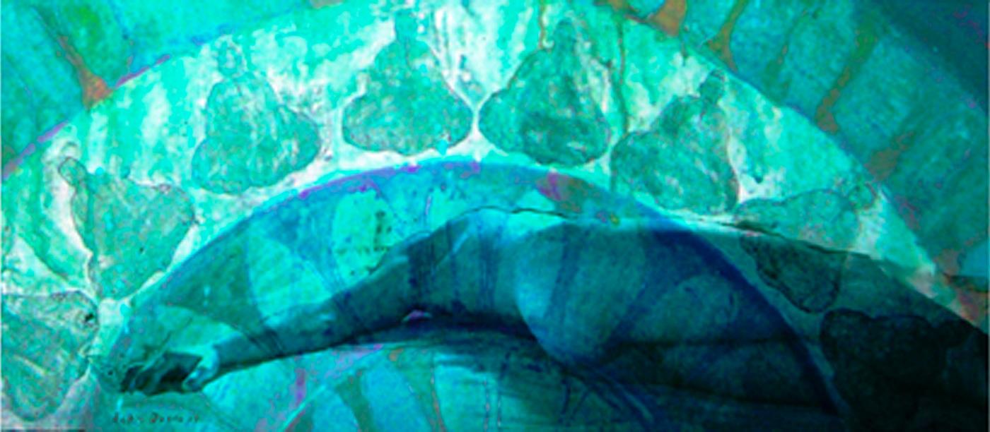 fusion_04 FFotografia y pintura. Arte digital 2010 2011 Medidas: 43x58 cm. Fotografía y pintura. Arte digital 2010-2011