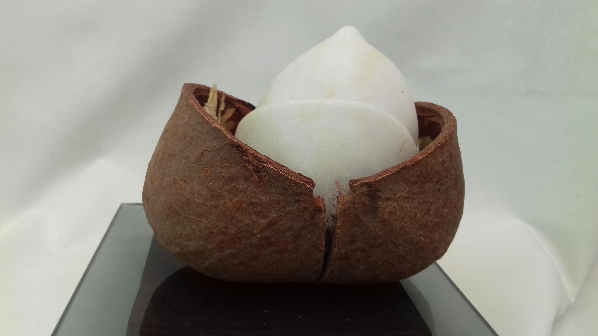 Mármol y cascara de fruto Medidas 15x10x12 cm 2019
