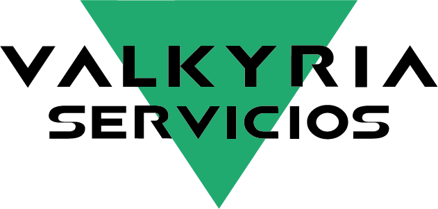 Valkyria Servicios