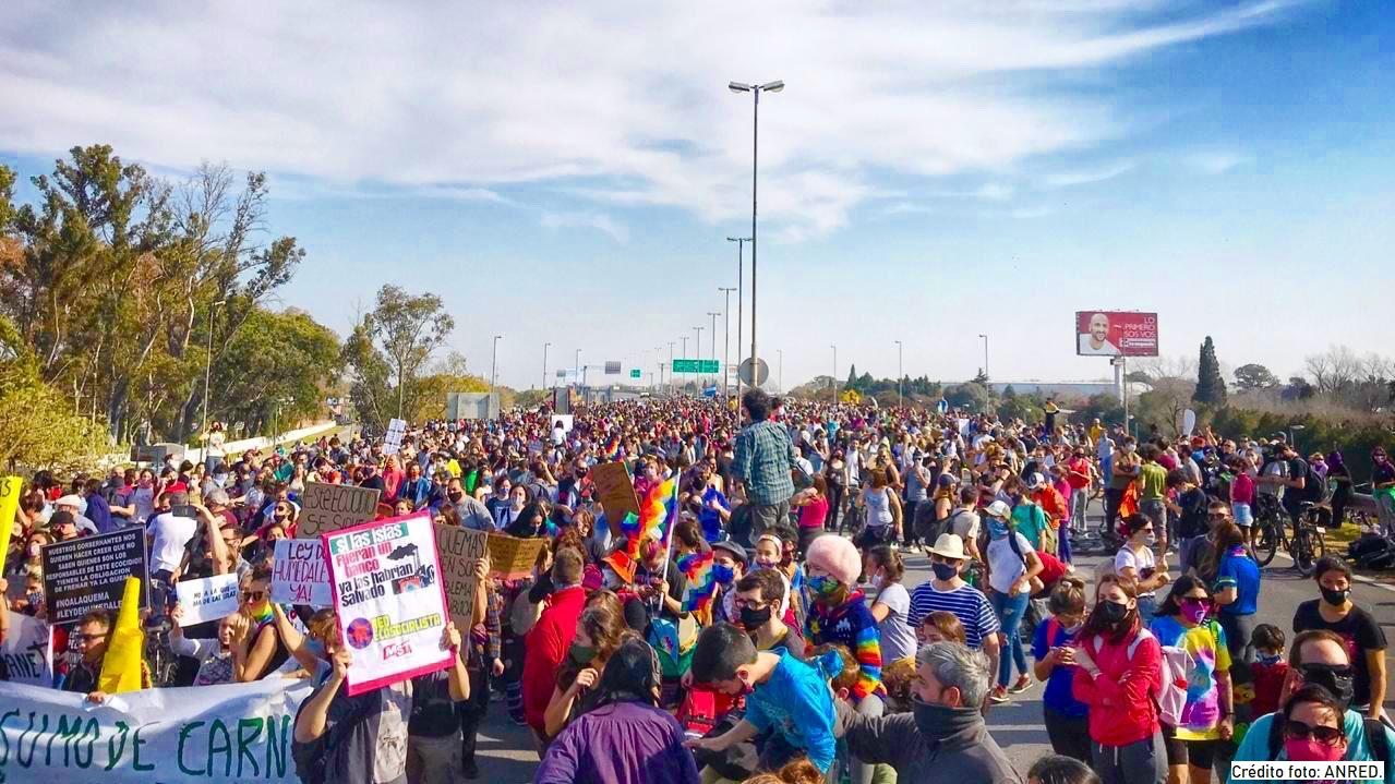 La onda expansiva del ecocidio