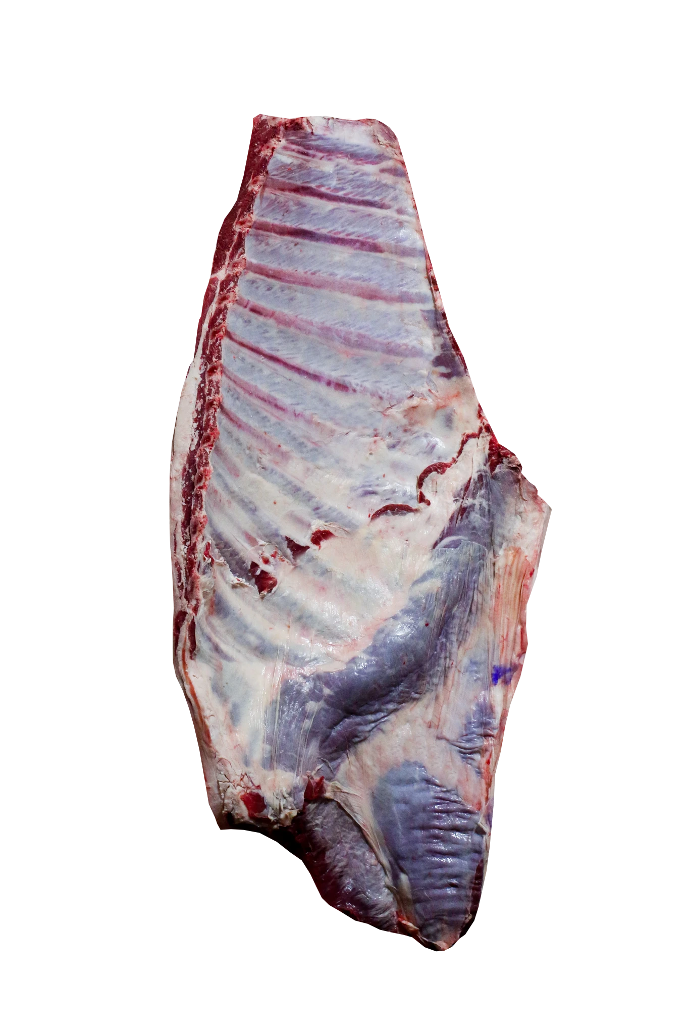 Conservas y mermeladas caseras en frascos