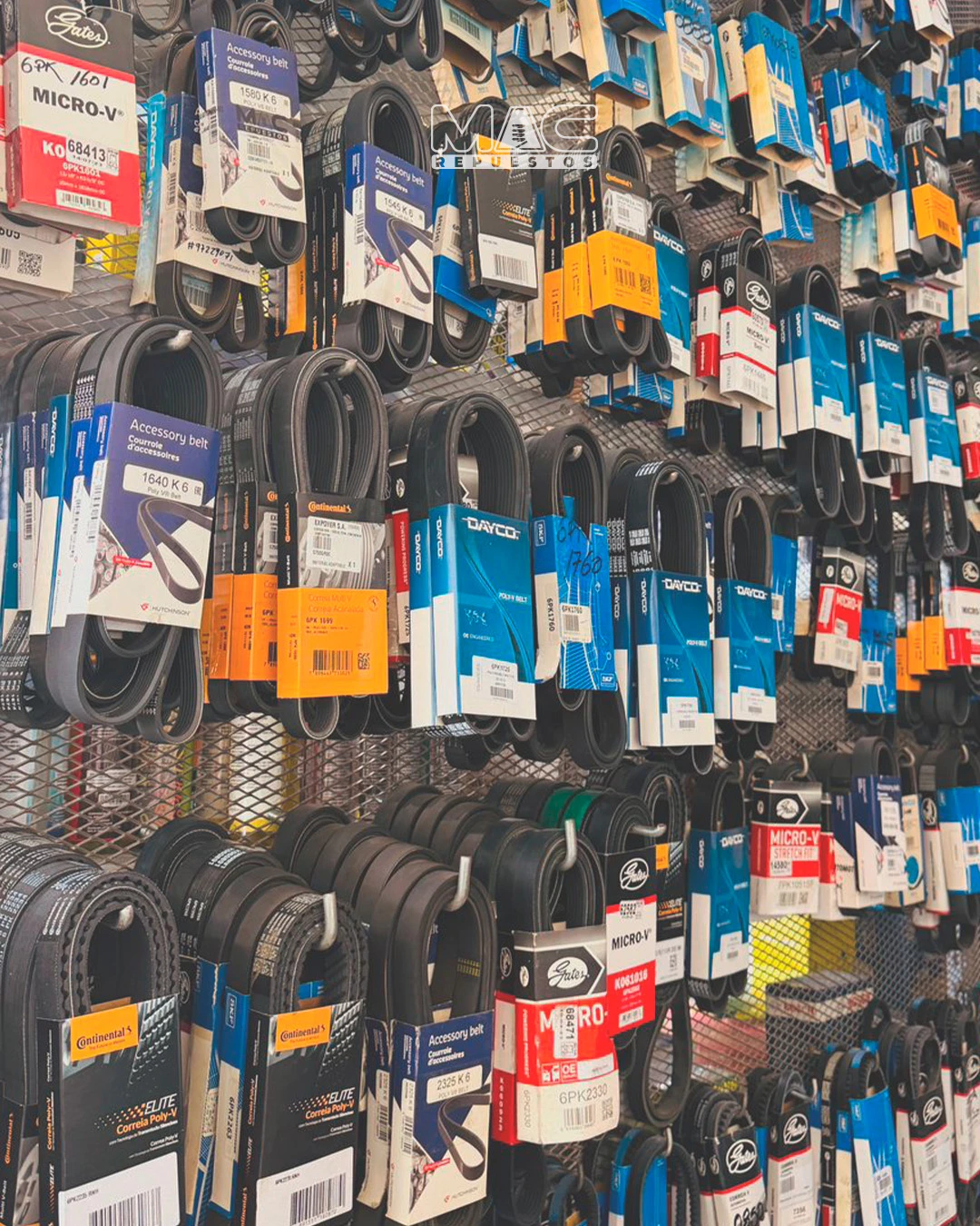 CORREAS DE DISTRIBUCION