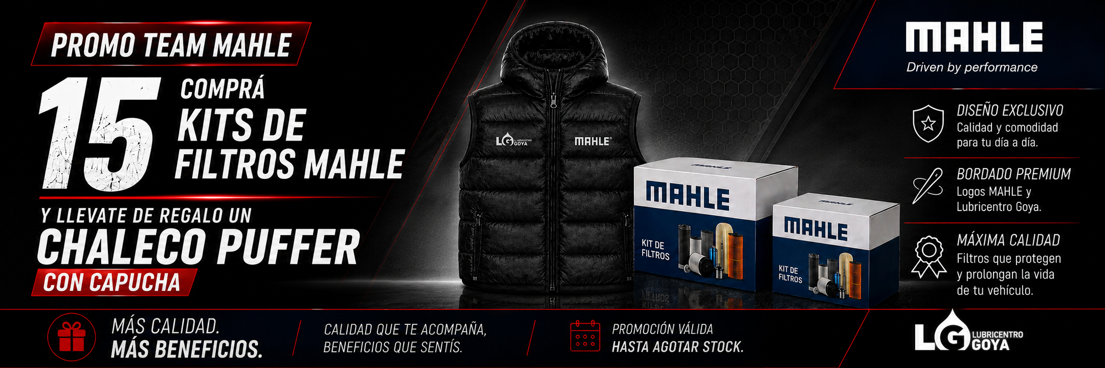 Mahle Filtros