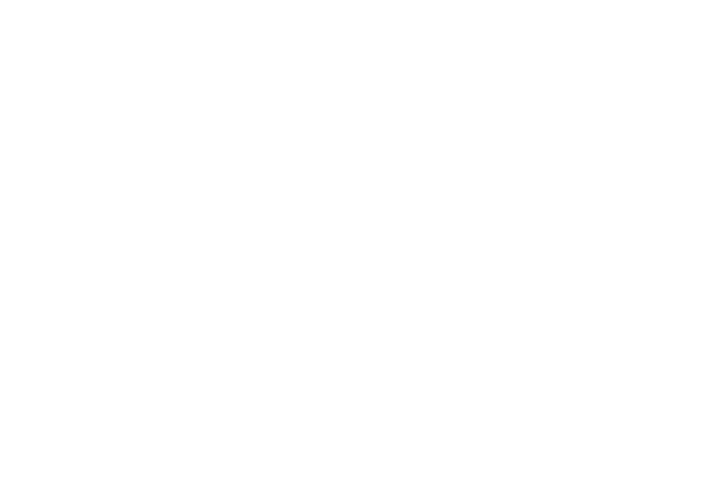 Distribuidora Petriella