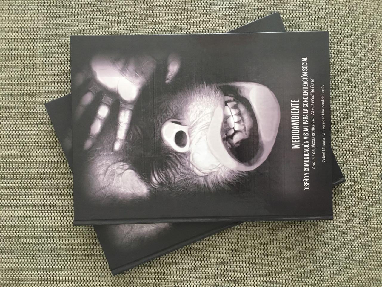 Diseño y Comunicación Visual, UNLa