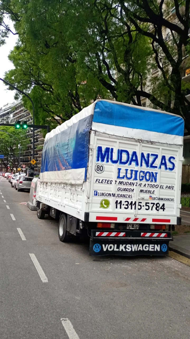 Camión de mudanzas profesional de Luigon