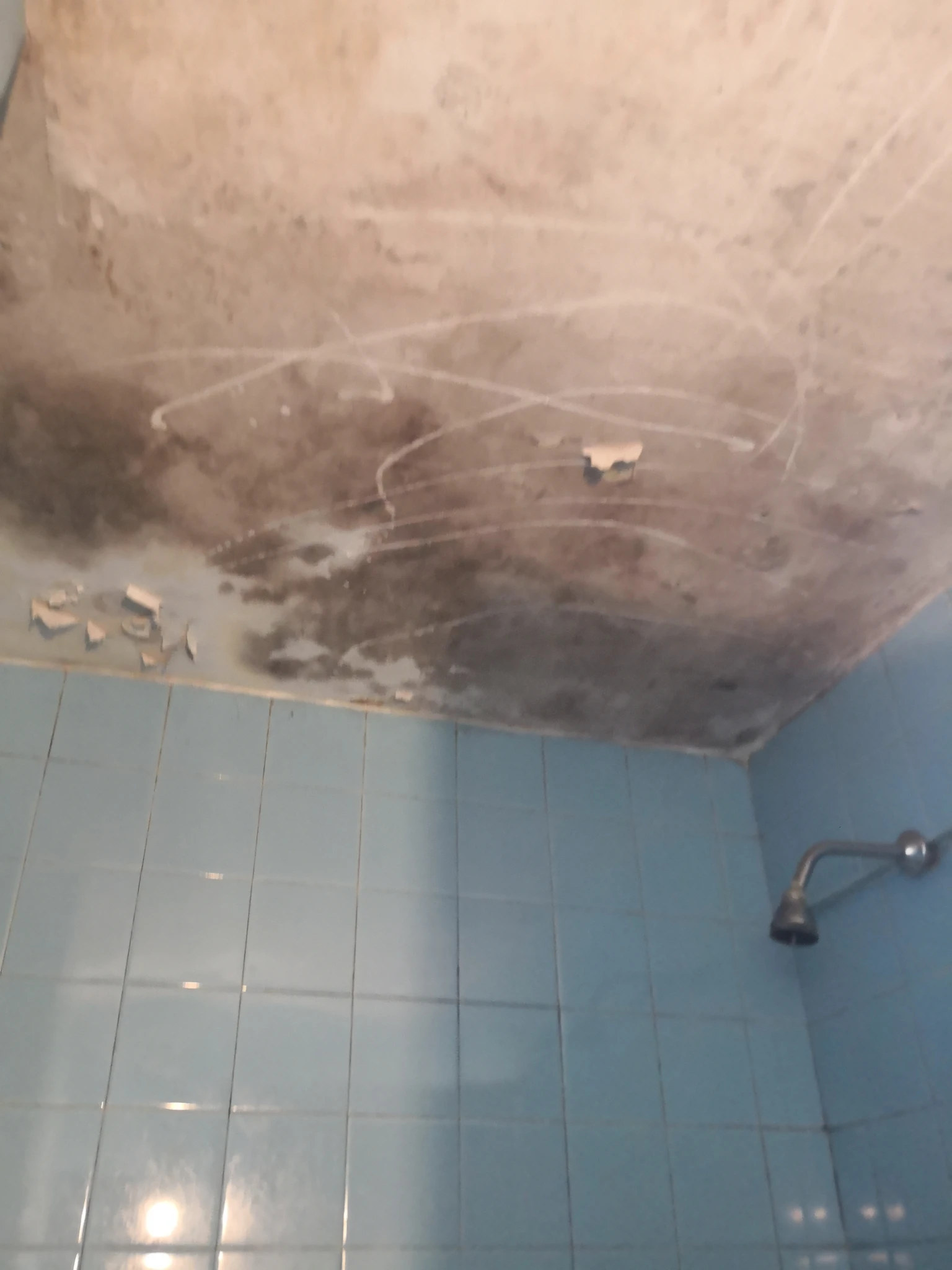 IMG20191102171936.webp