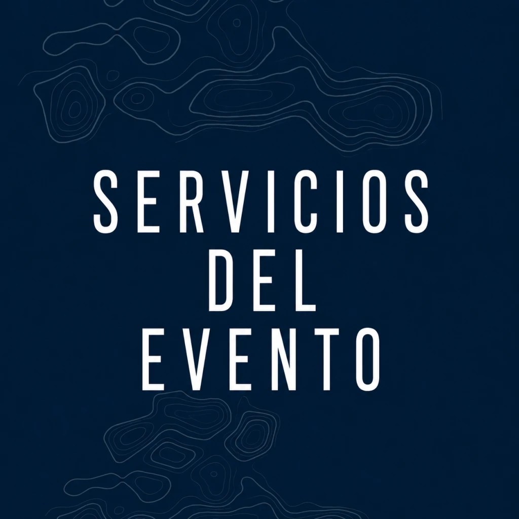 Director de carrera