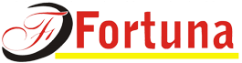 FORTUNA SERVICIO TECNICO VIAL