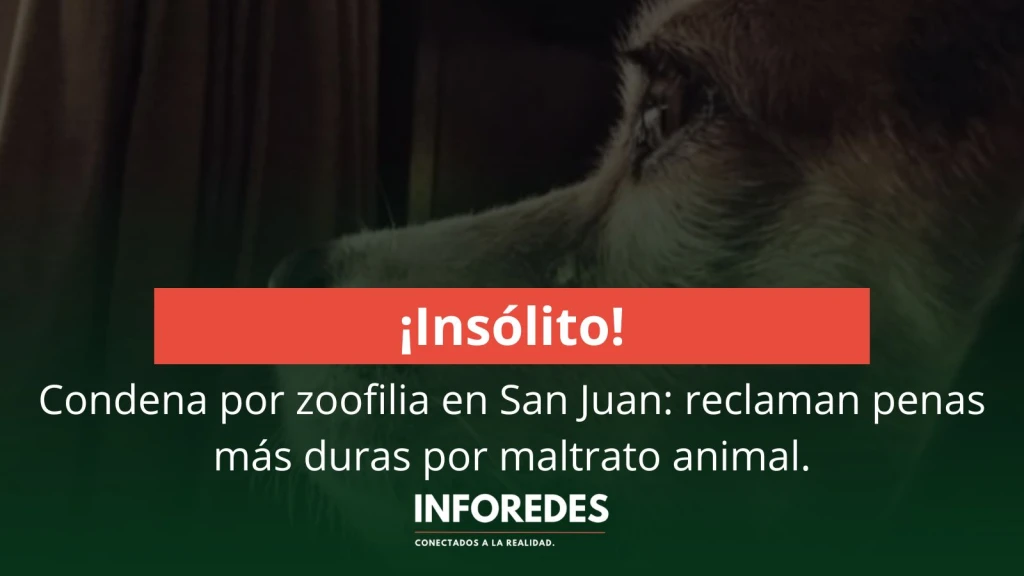 Condena por zoofilia en San Juan: reclaman penas más duras por maltrato animal