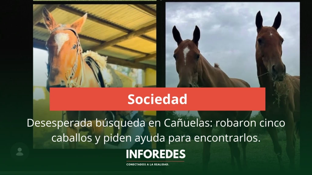 Desesperada búsqueda en Cañuelas: robaron cinco caballos y piden ayuda para encontrarlos