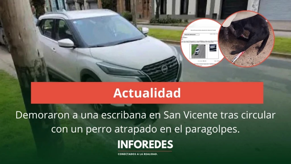 Demoraron a una escribana en San Vicente tras circular con un perro atrapado en el paragolpes