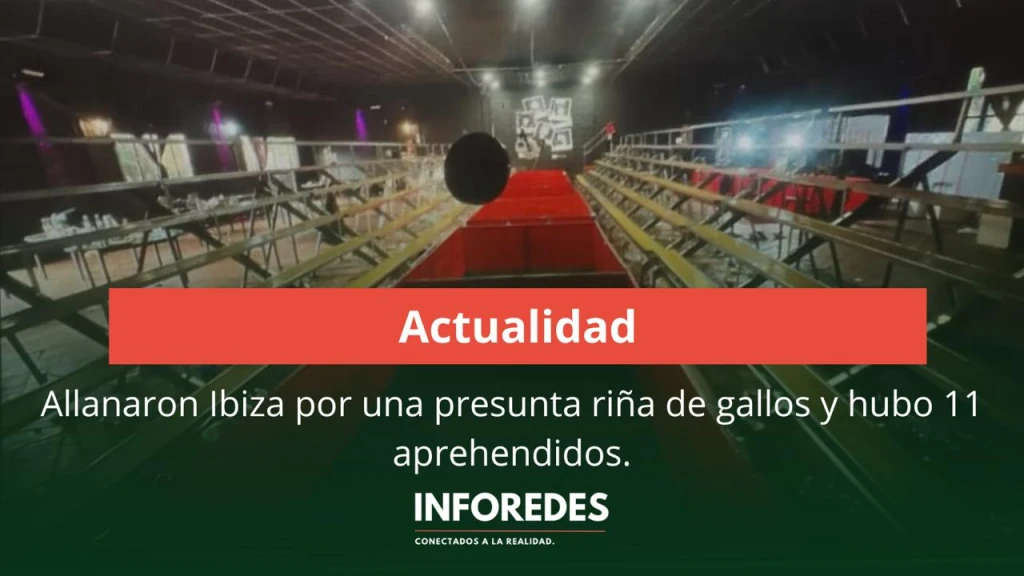 Allanaron Ibiza por una presunta riña de gallos: hubo 11 aprehendidos y secuestraron más de $3 millones