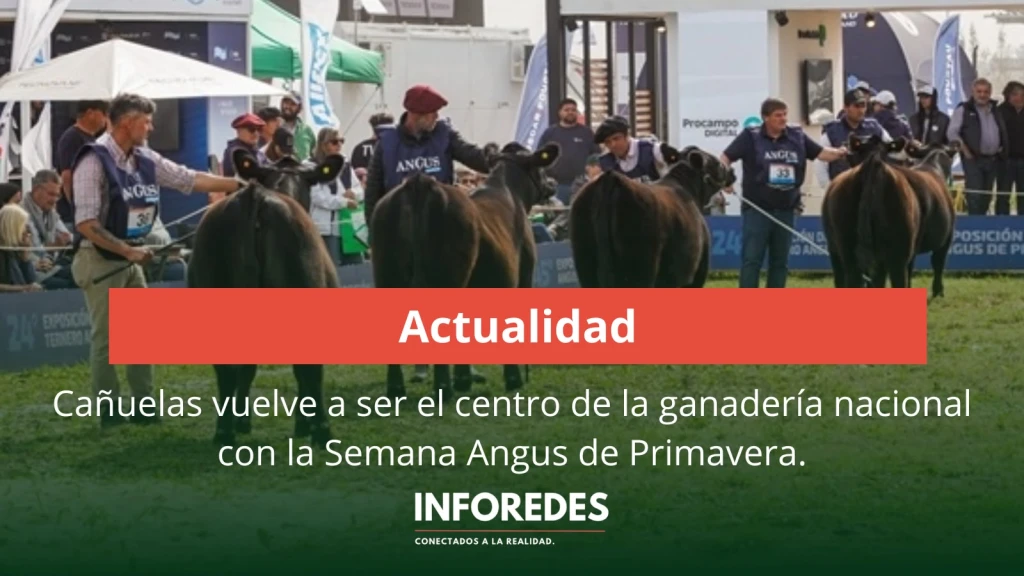 Cañuelas vuelve a ser el centro de la ganadería nacional con la Semana Angus de Primavera