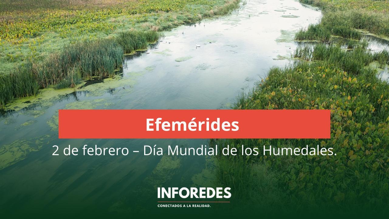 2 de febrero: Día Mundial de los Humedales y la necesidad urgente de protegerlos