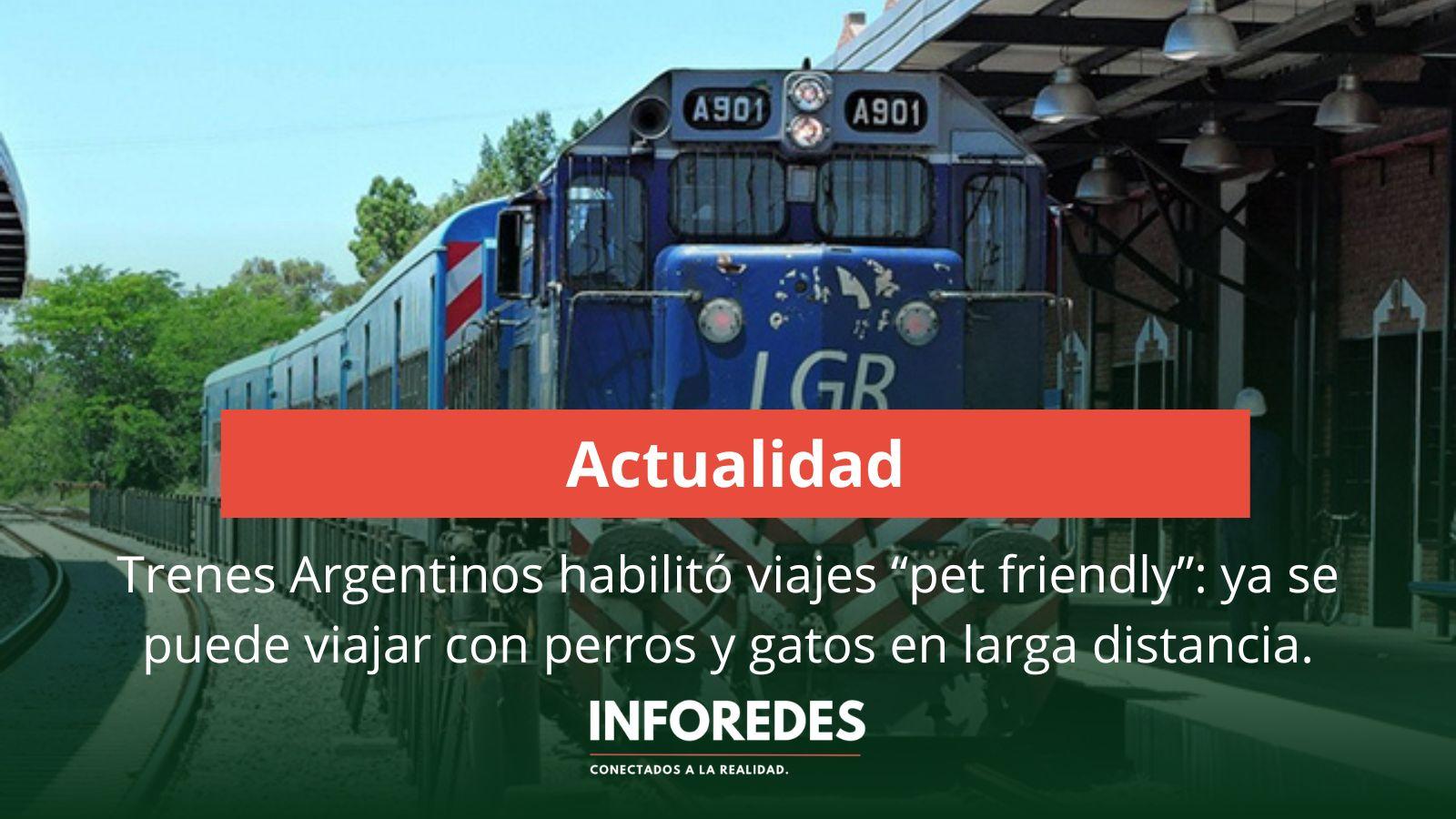Trenes Argentinos habilitó viajes “pet friendly”: ya se puede viajar con perros y gatos en larga distancia
