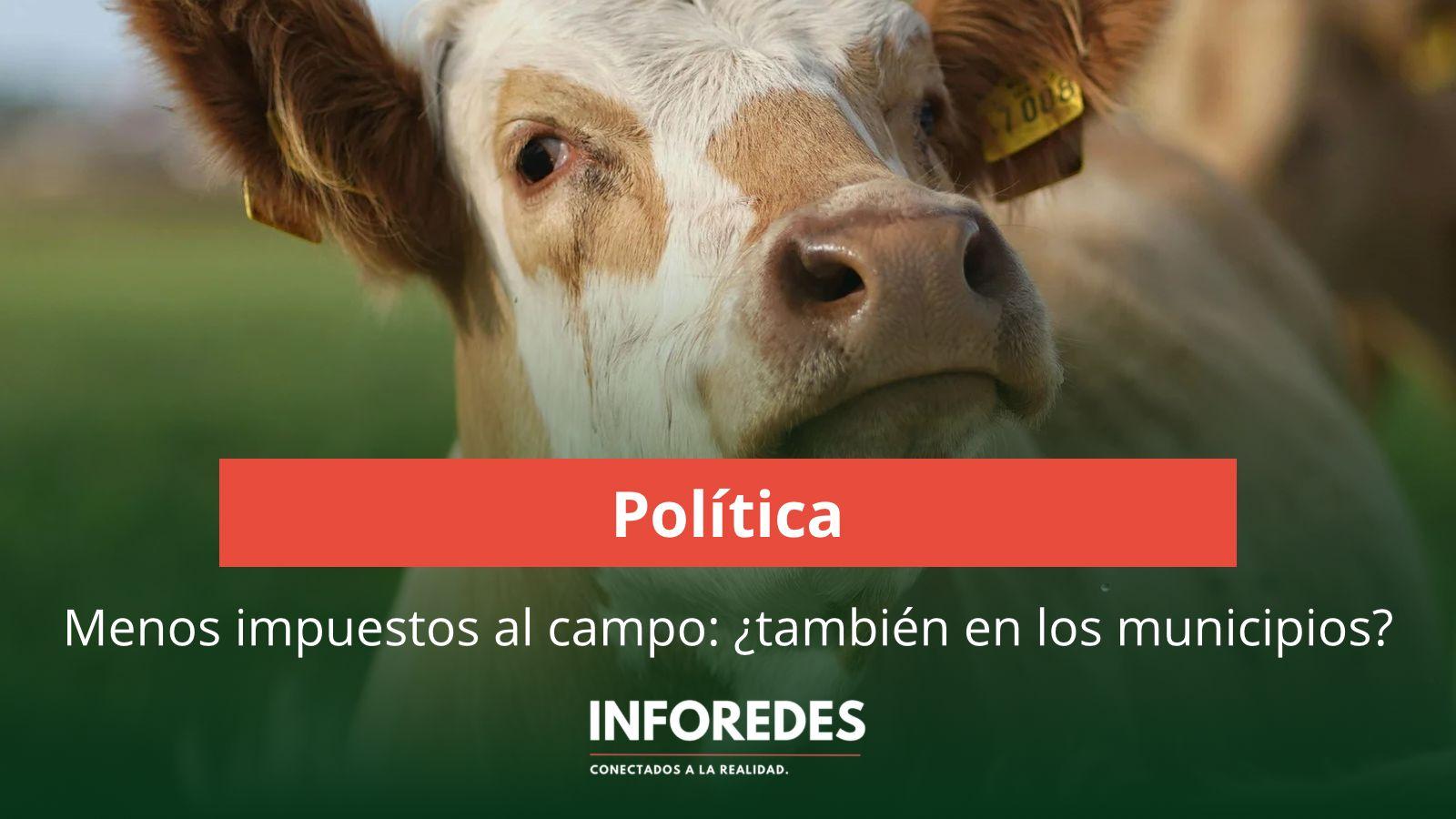 Menos tasas para el campo: la discusión por retenciones cero reabre el debate sobre impuestos municipales