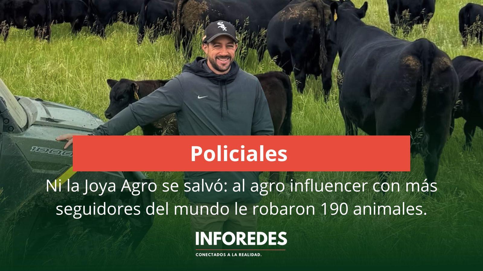 Le robaron 190 animales a un influencer rural y su denuncia se volvió viral