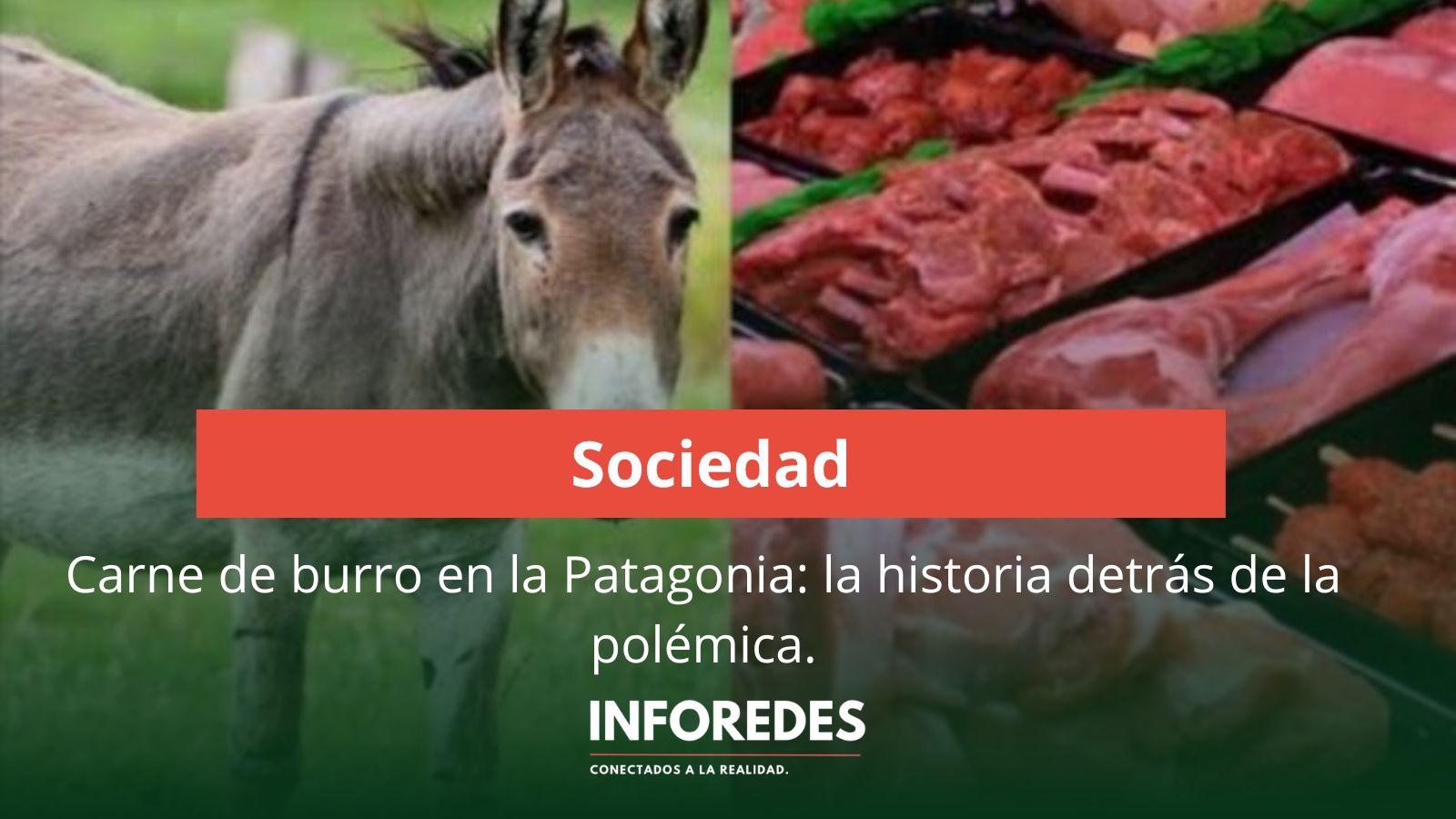 Carne de burro en la Patagonia: detrás de la polémica hay un cambio productivo en el interior del país