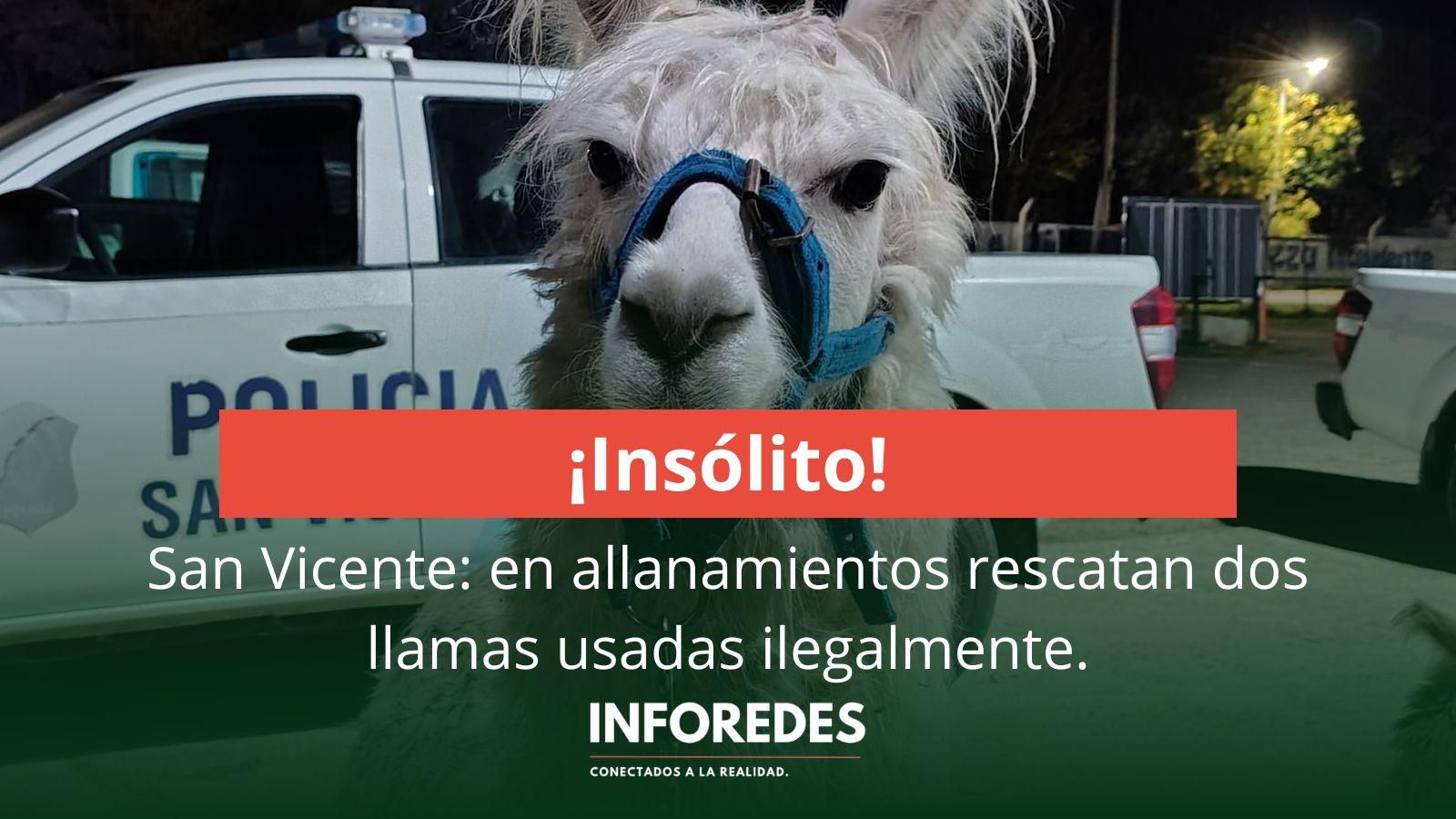 Allanamientos y controles derivan en el secuestro de animales utilizados ilegalmente