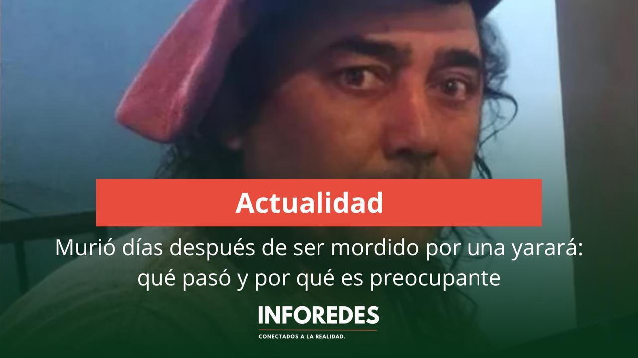 Murió días después de ser mordido por una yarará: qué pasó y por qué es preocupante