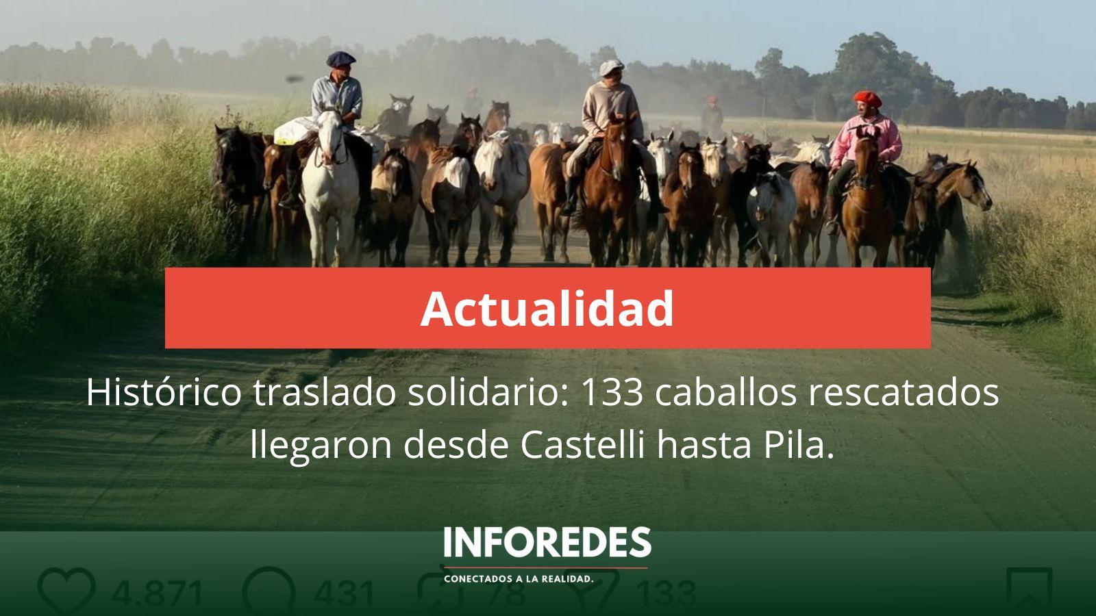 Histórico traslado solidario: 133 caballos rescatados llegaron desde Castelli hasta Pila