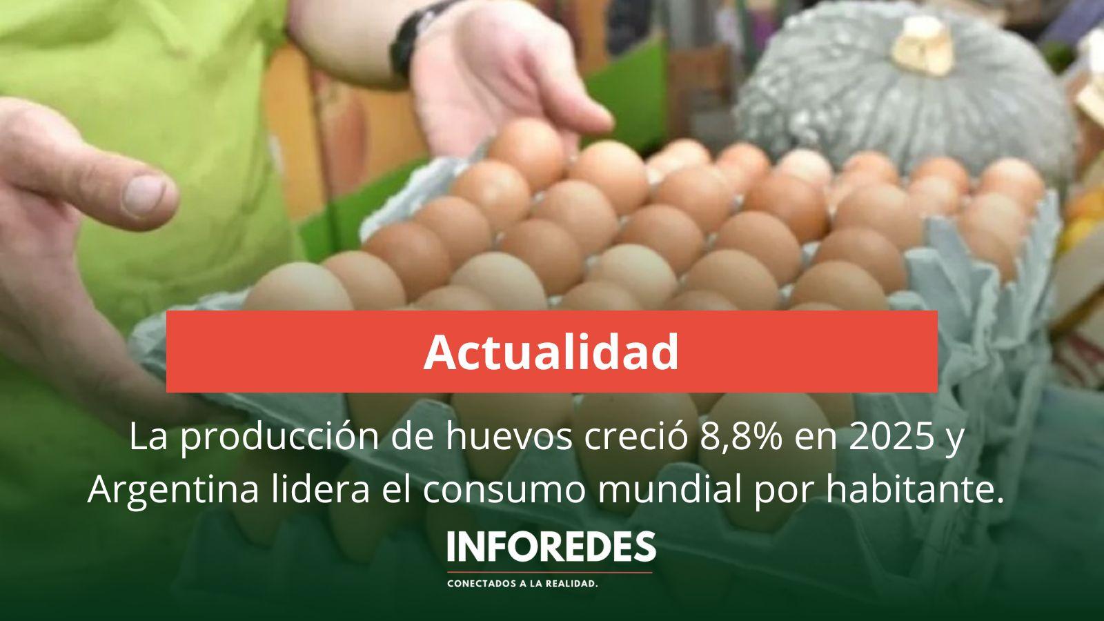 La producción de huevos creció 8,8% en 2025 y Argentina lidera el consumo mundial por habitante