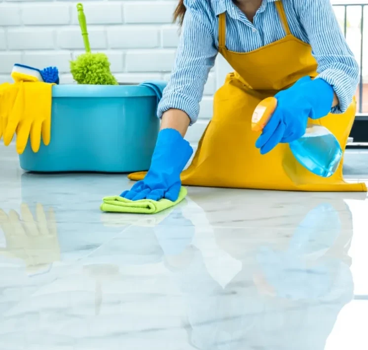 Equipo de limpieza profesional