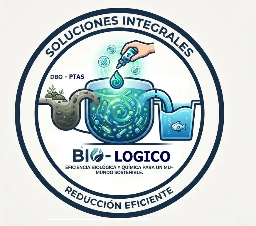 Solu-Prob-DBO-PTAs-07