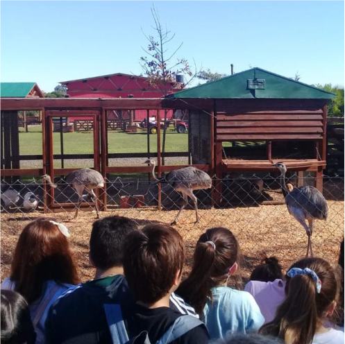 Cultural Inglesa Gualeguaychú