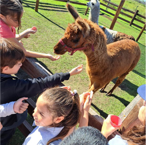 Cultural Inglesa Gualeguaychú