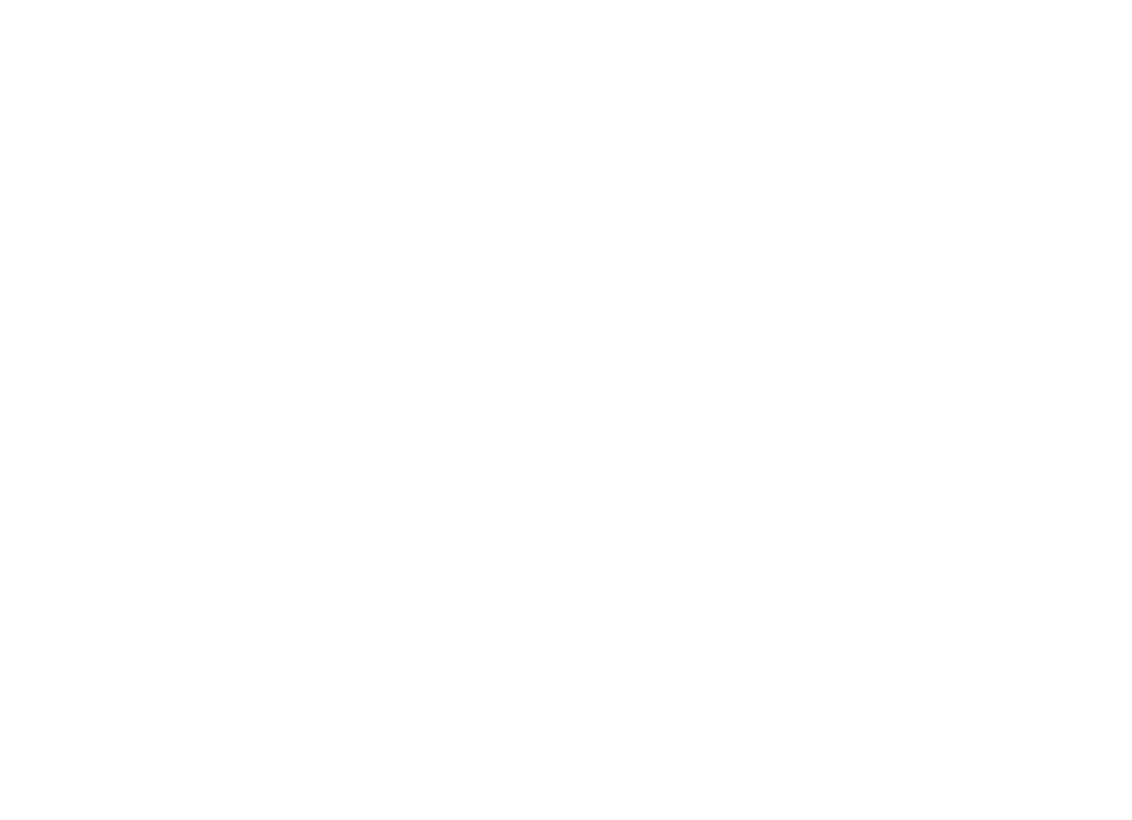 Brissa