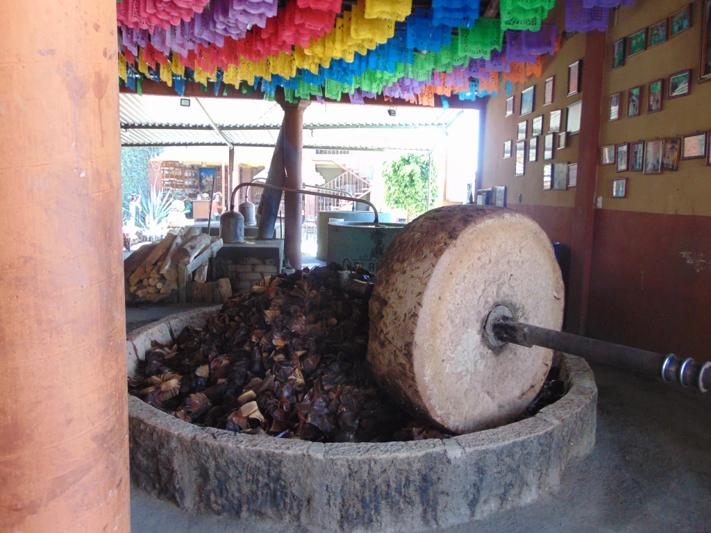 DSC01356.webp