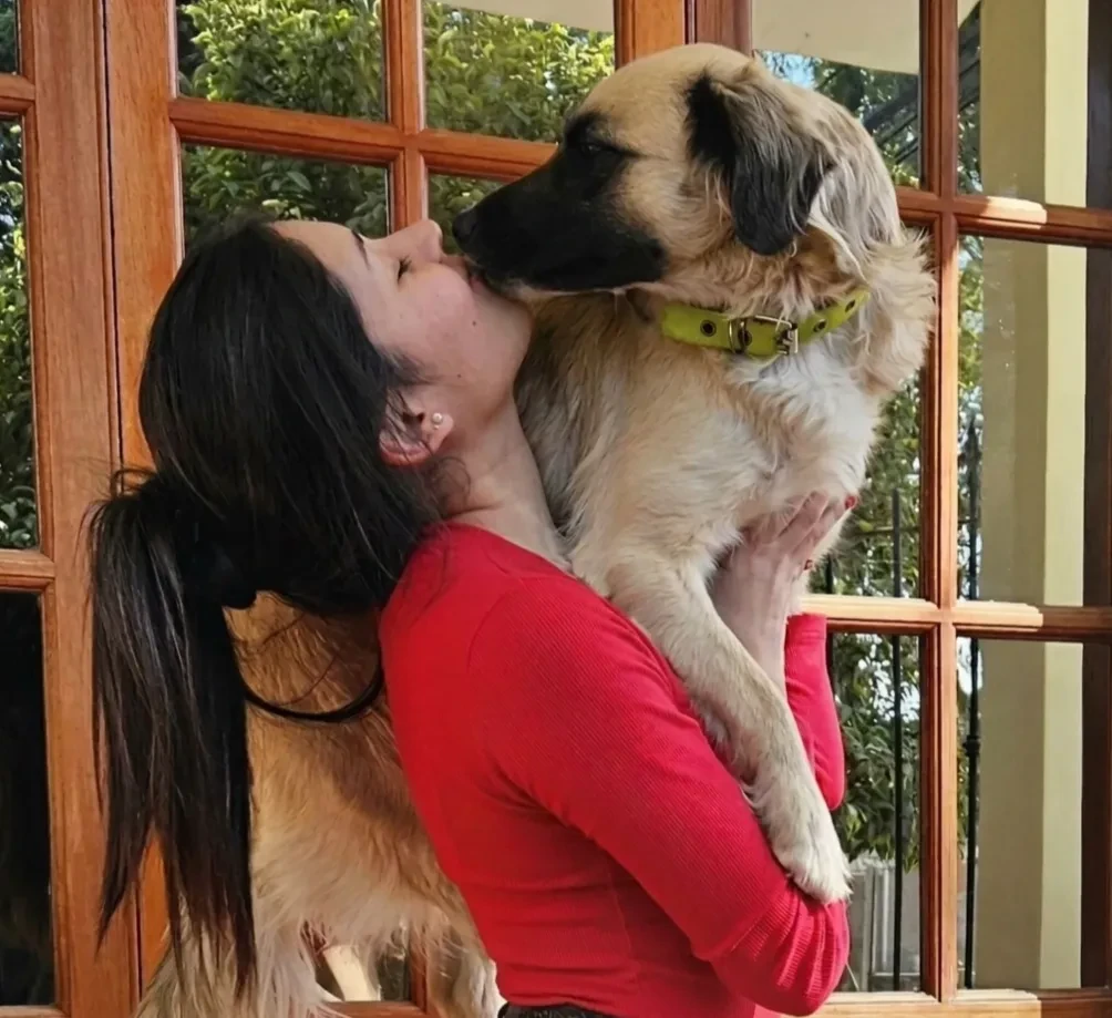 Perro feliz en entorno cuidado